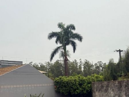 Chuva mansa e tempo ameno marcam a manhã em Maracaju A cidade de Maracaju tem clima ameno nesta quarta feira