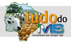 Logo do site