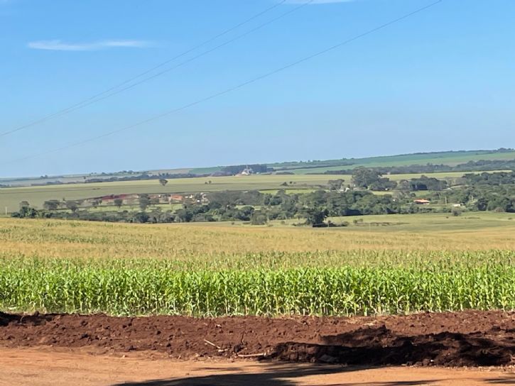 Plantio de milho em 2026 em Maracaju    (Hosana de Lourdes)