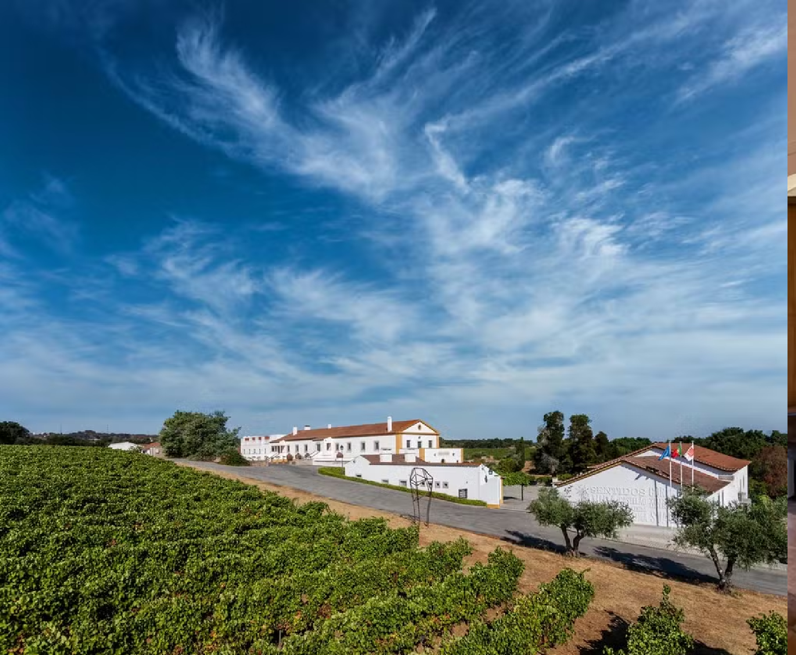 Sede da Adega Cartuxa em Évora, na região do Alentejo, em Portugal — Foto: Divulgação/Adega Cartuxa