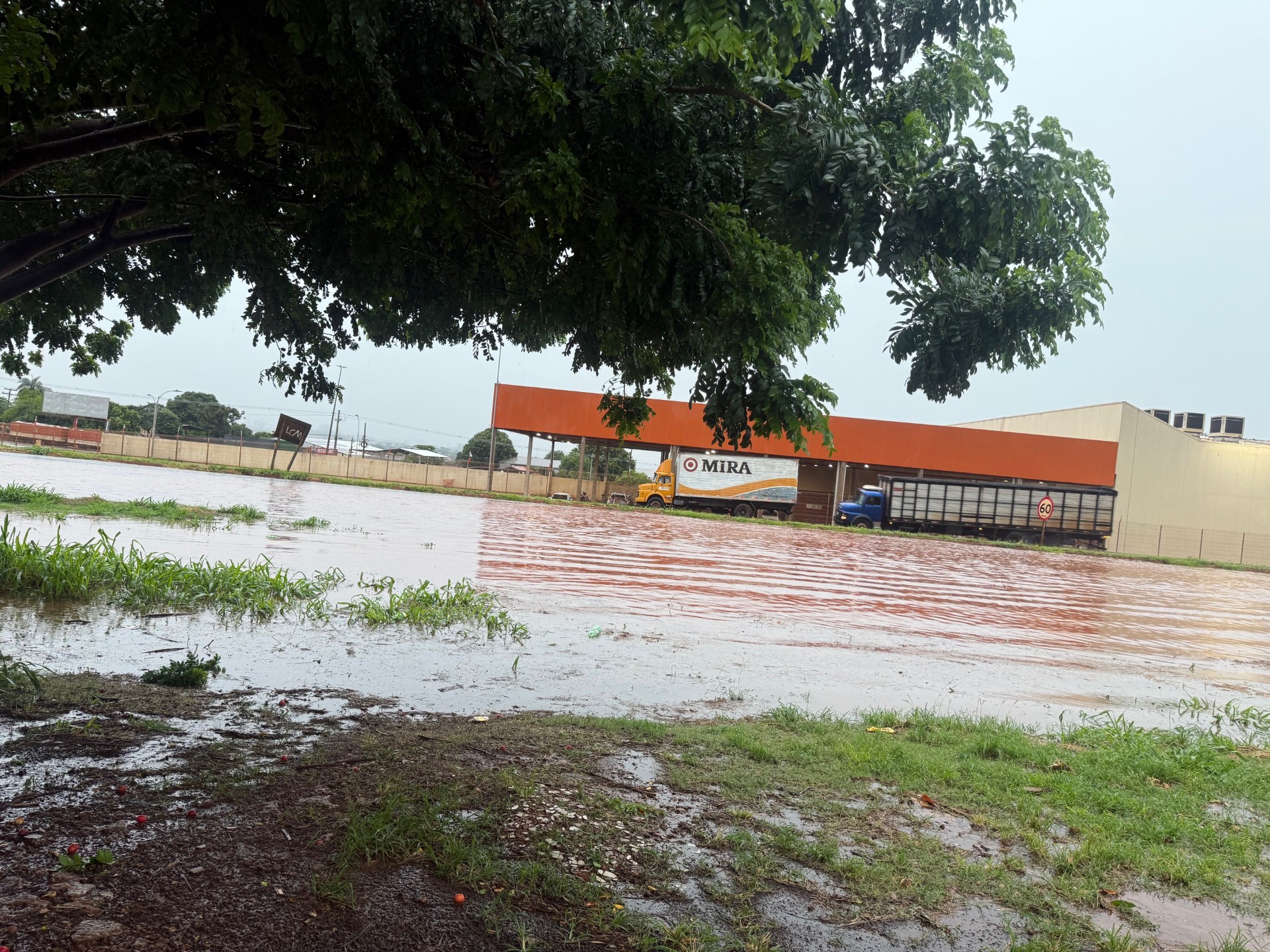 Hosana de Lourdes   - tudodoms    Maracaju tarde de quinta-feira, dia 02/01