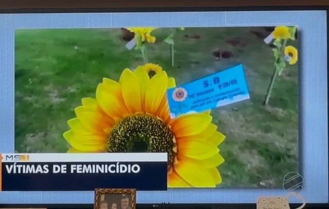 (Reprodução TV) Matéria sendo transmitida no MS 1