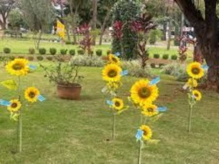 Em Maracaju a contabilidade de 7 feminicidios