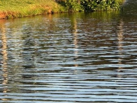 Campo Grande deve registrar mínima de 24°C e máxima de 32°C, com sol entre nuvens e chance de chuva isolada.