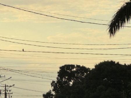 MUnicipio de Maracaju o tempo nublado com garoas na manhã de hoje