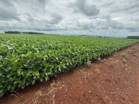 Na capital da soja no Mato Grosso do Sul dia começa com 23°C