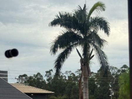 previsão indica que as chuvas podem ocorrer de forma isolada, acompanhadas de céu encoberto e alta umidade.