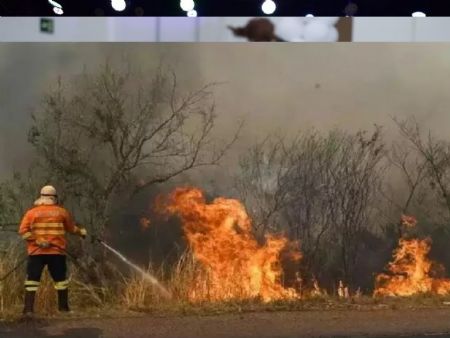 Cientista de MS investiga relação entre queimadas e 