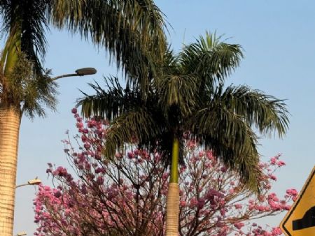 Terça feira de ventos em Maracaju com previsão de chguvas