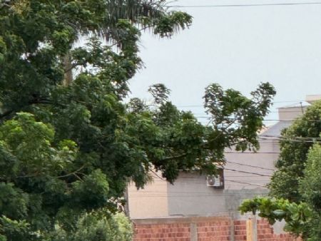 Cidade de Maracaju tem temperatura amena nesta sexta feira 12