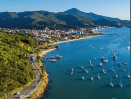 setor está otimista