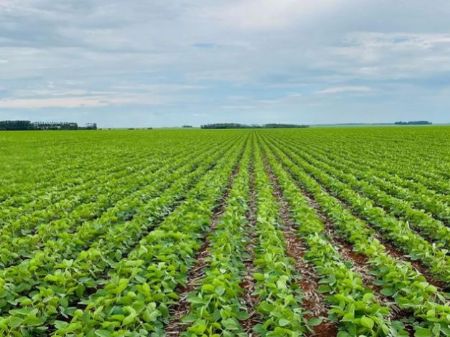 Produtores ruraais iniciaram o novo plantio de 2025/2026