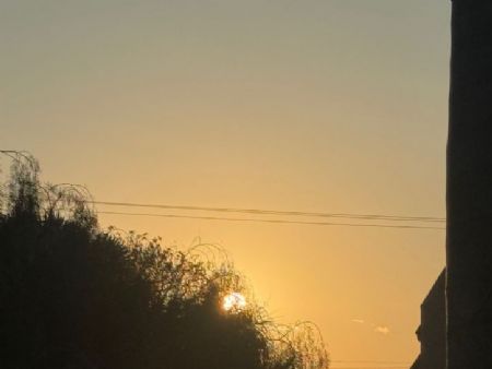 O astro rei Sol chega chegando hoje