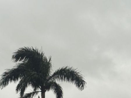 a cidade de Maracaju tem presião de chuva para toda segunda feira dia 17