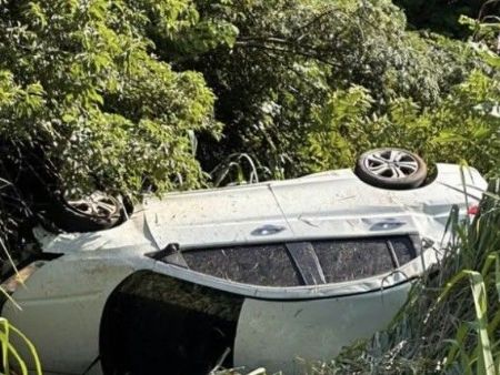 o veículo capotado em meio as árvores