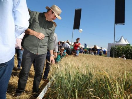 Maior evento agro de Mato Grosso do Sul acontece em maio com inovação e tecnologia