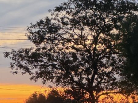 manhã de quarta feira em Maracaju