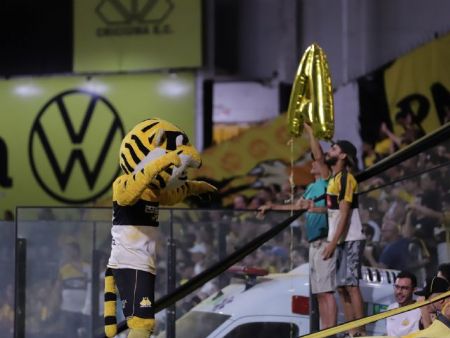 Fotos: Celso da Luz/ Assessoria de imprensa Criciúma E.C.