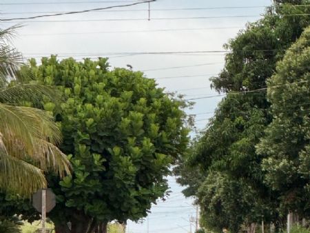 Terça-feira começa com clima ameno em Maracaju e previsão de calor ao longo do dia
