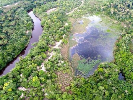 Projeto será desenvolvido na Reserva Particular do Patrimônio Natural (RPPN) Porto Cajueiro, localizada no município de Januária (MG)