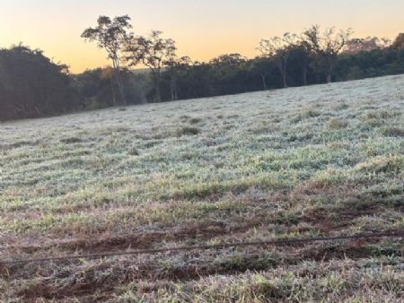 Região de Maracaju registrou 2°C graus na madrugada de terça feira