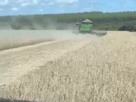 colheita na região de Maracaju