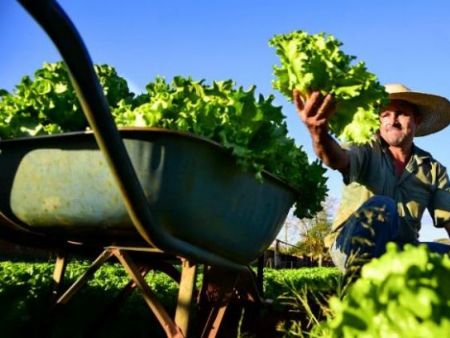 Senar/MS e Prefeitura de Campo Grande firmam parceria para impulsionar a agricultura familiar