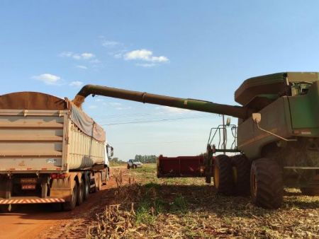 Lado Rural+: Produção agropecuária de MS cresce 24% e movimenta R$ 76 bilhões