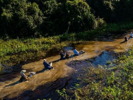 Produção agropecuária no Pantanal busca se reerguer com sustentabilidade