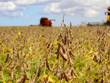 Safra cresce 19,6% e bate recorde em 2023, mas valor da produção cai 2,3% - Foto: Jaelson Lucas/AEN