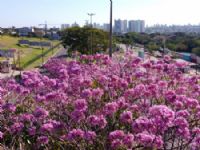 Fundtur-MS e Lab Turismo Consultoria trazem planejamento vivo e colaborativo para o futuro do turismo regional