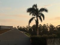 A cidade Maracaju terá dia quente hoje