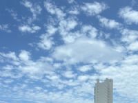 Sabado na capital Campo Grande MS