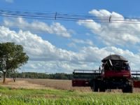 Agronegócio:  Maracaju é considerado o maior produtor de soja nas últimas safras  em MS na última safra