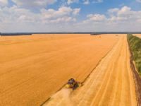 Mapa (Ministério da Agricultura e Pecuária) estima, em levantamento divulgado nesta sexta-feira (17)