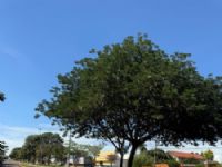 Avenida Mario Corrêa em Maracaju