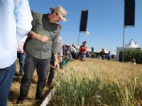 Maior evento agro de Mato Grosso do Sul acontece em maio com inovação e tecnologia