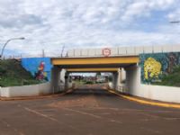 Viaduto que dá frente para Avenida Mário Correa, se destaca pelos símbolos do pantanal registros do artista Liws Corps.