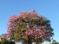 Temperaturas devem cair já nesta sexta-feira, em todo estado