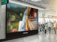 Ano de premiações e reconhecimento internacional