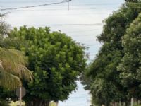 Terça-feira começa com clima ameno em Maracaju e previsão de calor ao longo do dia