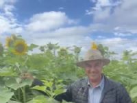 Pré-candidato ao Senado, Reinaldo Azambuja durante o Showtec