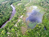 Projeto será desenvolvido na Reserva Particular do Patrimônio Natural (RPPN) Porto Cajueiro, localizada no município de Januária (MG)