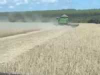 colheita na região de Maracaju