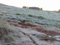 na região da fazenda Guanandy os campos amanheceram coberto de gelo