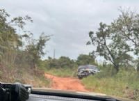 Policiais durante diligências do caso, em aldeia de Caarapó. (Foto: Divulgação)