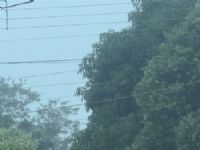 Dia traz neblina para Maracaju